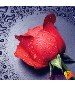 Картина стразами набор Красная роза - 22х24 см