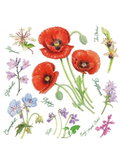 Салфетка для декупажа Маки и весенние цветы, 33х33 см, Голландия
