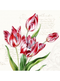 Салфетка для декупажа Тюльпаны и текст, 33х33 см, Голландия
