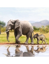 Салфетка для декупажа "Слониха со слоненком", 33х33 см, Голландия