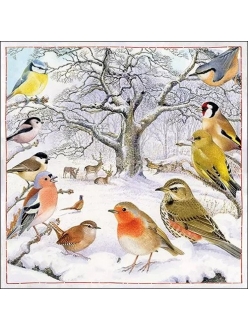 Новогодняя салфетка для декупажа Встреча птиц, 33х33 см, Ambiente Голландия