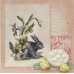 Штамп силиконовый  Кролик и нарциссы, 9x6,5 см, La Blanche