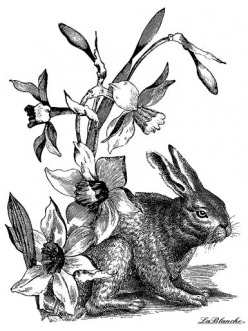 Штамп силиконовый  Кролик и нарциссы, 9x6,5 см, La Blanche