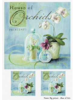 Декупажная карта Орхидеи, формат А4 , Base of Art  