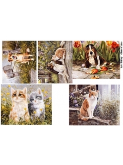 Декупажная карта Shirley, Собаки и кошки, формат А4 , Base of Art  