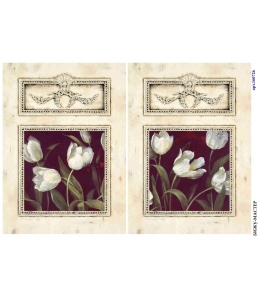 Рисовая бумага для декупажа Белые тюльпаны в рамочке, А4, Россия