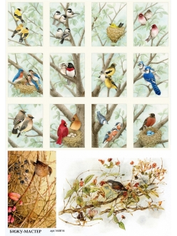 Рисовая бумага для декупажа Птицы на деревьях, А4, Россия