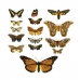 Трансфер универсальный Cadence Бабочки 1, 17х25 см