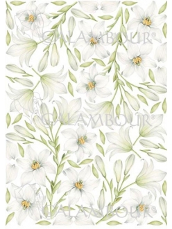 Рисовая бумага для декупажа Calambour Pau-018 Белые цветы, 35х50 см