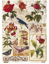 Рисовая бумага CP04198 "Открытки с птицами и цветами", 28,2х38,4см, Craft Premier (Россия)