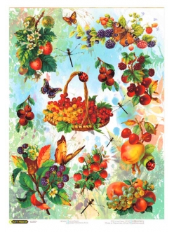 Рисовая бумага для декупажа Садовые ягоды, формат А4, Craft Premier  