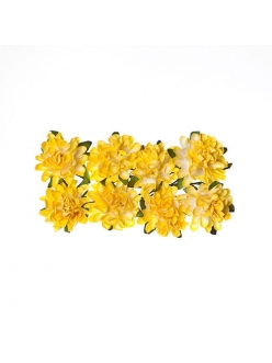 Цветы для скрапбукинга Астры бумажные нежно-желтые, 8 штук, ScrapBerry's