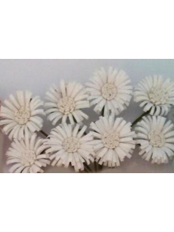 Цветы для скрапбукинга Маргаритки белые 8 шт., ScrapBerry's