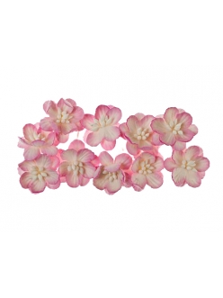 Цветы вишни розовые с белым для скрапбукинга, 10 шт., ScrapBerry's