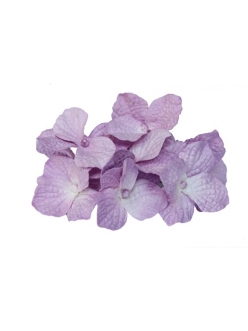 Букет искусственных цветов для скрапбукинга Гортензии фиолетовые, 10 шт., ScrapBerry's