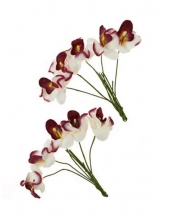 Цветы бумажные для скрапбукинга Орхидеи белые с бордовым, 10 шт., ScrapBerry's