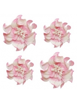 Цветы миниатюрные бумажные Фиалки кудрявые бело-розовые, 4 шт., ScrapBerry's