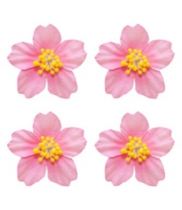 Цветы бумажные для скрапбукинга Плюмерия розовая, 4 шт., ScrapBerry's