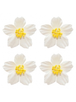 Цветы миниатюрные бумажные Плюмерия белая, 4 шт., ScrapBerry's