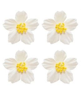 Цветы бумажные для скрапбукинга Плюмерия белая, 4 шт., ScrapBerry's