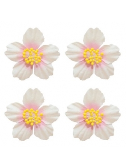 Цветы миниатюрные бумажные Плюмерия белая с розовым, 4 шт., ScrapBerry's