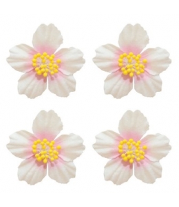 Цветы бумажные для скрапбукинга Плюмерия белая с розовым, 4 шт., ScrapBerry's