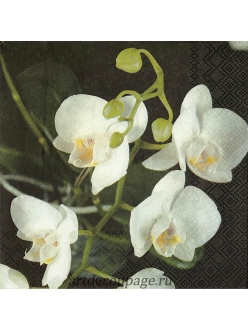 Салфетка для декупажа Белая орхидея, 33х33 см, Германия