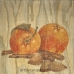 Салфетка для декупажа Яблоки и апельсины, 33х33 см, Германия