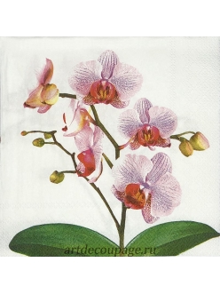 Салфетка для декупажа Розовая орхидея, 33х33 см, Германия