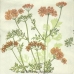 Салфетка для декупажа Зонтичные цветы, 33х33 см, Германия