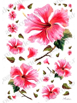 Рисовая бумага Love2Art 0102, "Розовые цветы", 32х45см, Kalit (Италия)