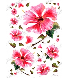 Рисовая бумага Love2Art 0102, "Розовые цветы", 32х45см, Kalit (Италия)