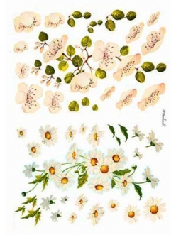 Рисовая бумага Love2Art 0146, "Ромашки и яблоневый цвет", 32х45см, Kalit (Италия)