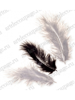 Декоративные перья марабу Черный и белый, 9 см, 15 шт., Knorr prandell