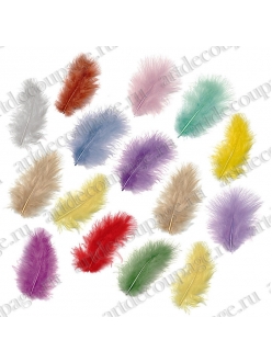 Декоративные цветные перья, набор Разноцветный пастельный, 5 см, 15 шт., Knorr prandell 