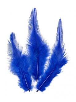 Перья петушиные синие, натуральное перо, 10 см, 16 шт., Knorr prandell (Германия)