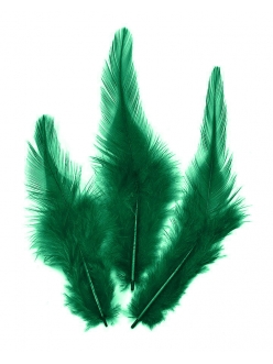 Перья петушиные зеленые, натуральное перо, 10 см, 16 шт., Knorr prandell (Германия)