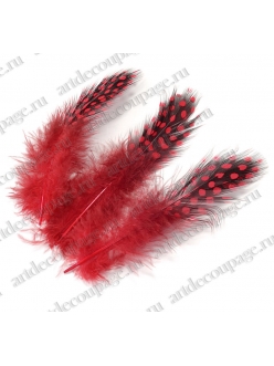 Перья цесарки карминно-красные, натуральное перо, 5 см, 20 шт., Knorr Prandell (Германия)