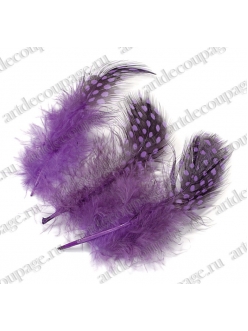 Перья цесарки фиолетовые, натуральное перо, 5 см, 20 шт., Knorr Prandell 