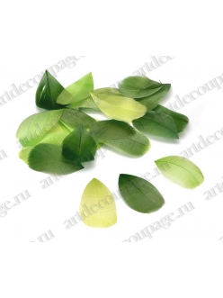 Перья декоративные цветные "Оттенки зеленого", натуральное перо, 5-10 см, 48 шт. в пакете, Knorr prandell (Германия)