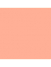 Краска акриловая "Allegro" KAL13, цвет весёлый розовый, Stamperia (Италия), 59мл