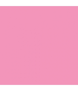 Краска акриловая "Allegro" KAL16, цвет розовый, Stamperia (Италия), 59мл