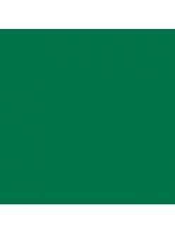 Краска акриловая "Allegro" KAL31, цвет ярко-зелёный, Stamperia (Италия), 59мл