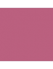 Краска акриловая "Allegro" KAL56, цвет сливовый, Stamperia (Италия), 59мл 