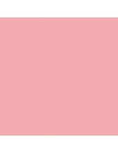 Краска акриловая "Allegro" KAL82, цвет темно-розовый, Stamperia (Италия), 59мл
