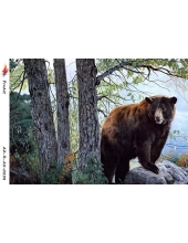 Рисовая бумага R-A5-0258 "Медведь", формат А5, Россия