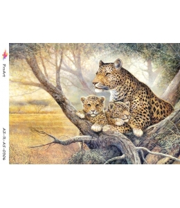 Рисовая бумага R-A5-0306 "Леопарды", формат А5, ProArt (Россия)