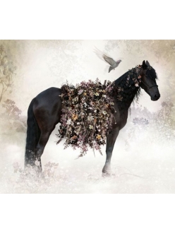 Рисовая бумага для декупажа Лошадь и цветы, формат А5, ProArt 