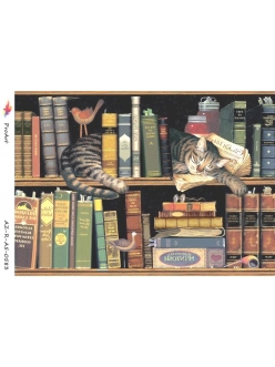 Рисовая бумага для декупажа Кошка среди книг, формат А5, ProArt 