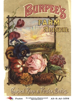 Рисовая бумага для декупажа Цветы в рамочке, формат А5, ProArt 